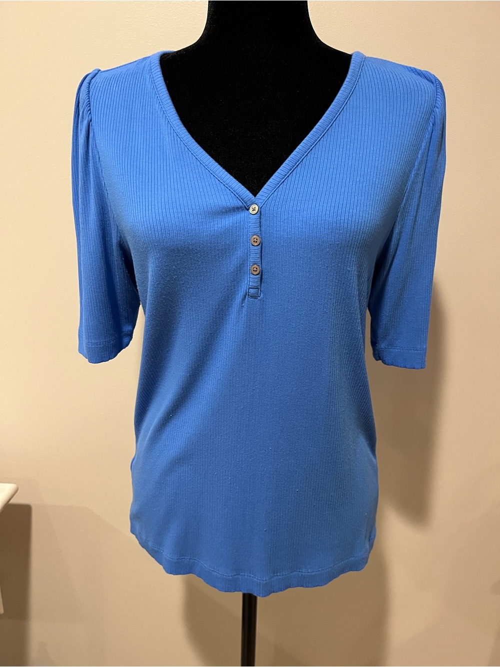 LOFT Women's V-Neck Ribbed Henley Top in Cornflower Blue, Large